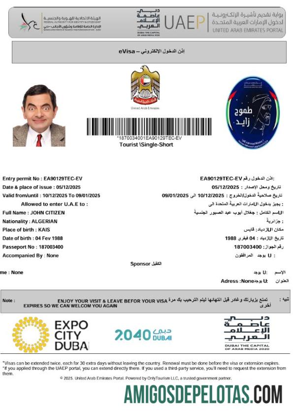 imprimível Modelo de visto E dos Emirados Árabes Unidos em formatos Word e PDF, versão 2